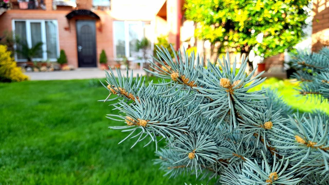 Green Garden Tiflis Exterior foto