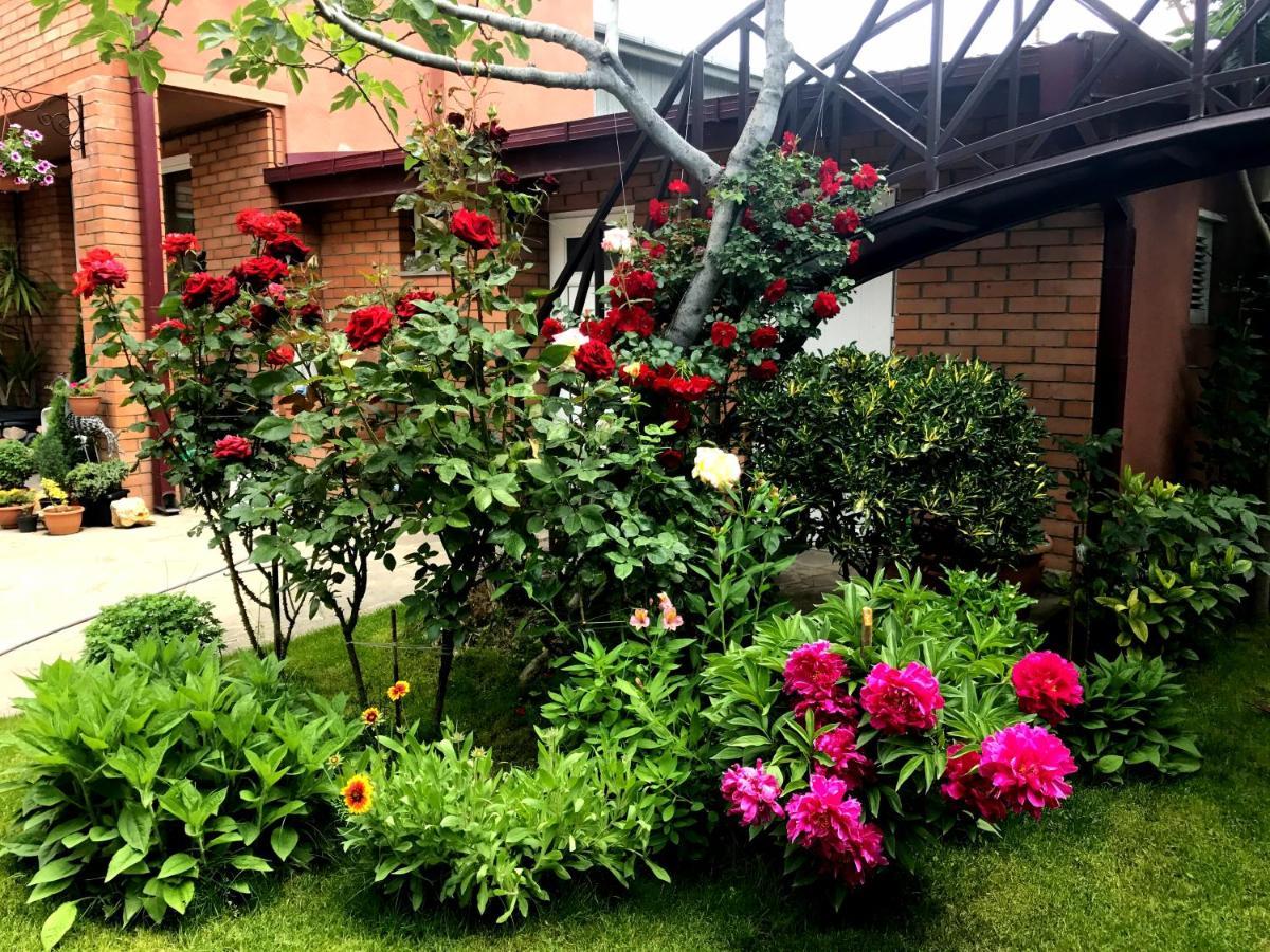 Green Garden Tiflis Exterior foto