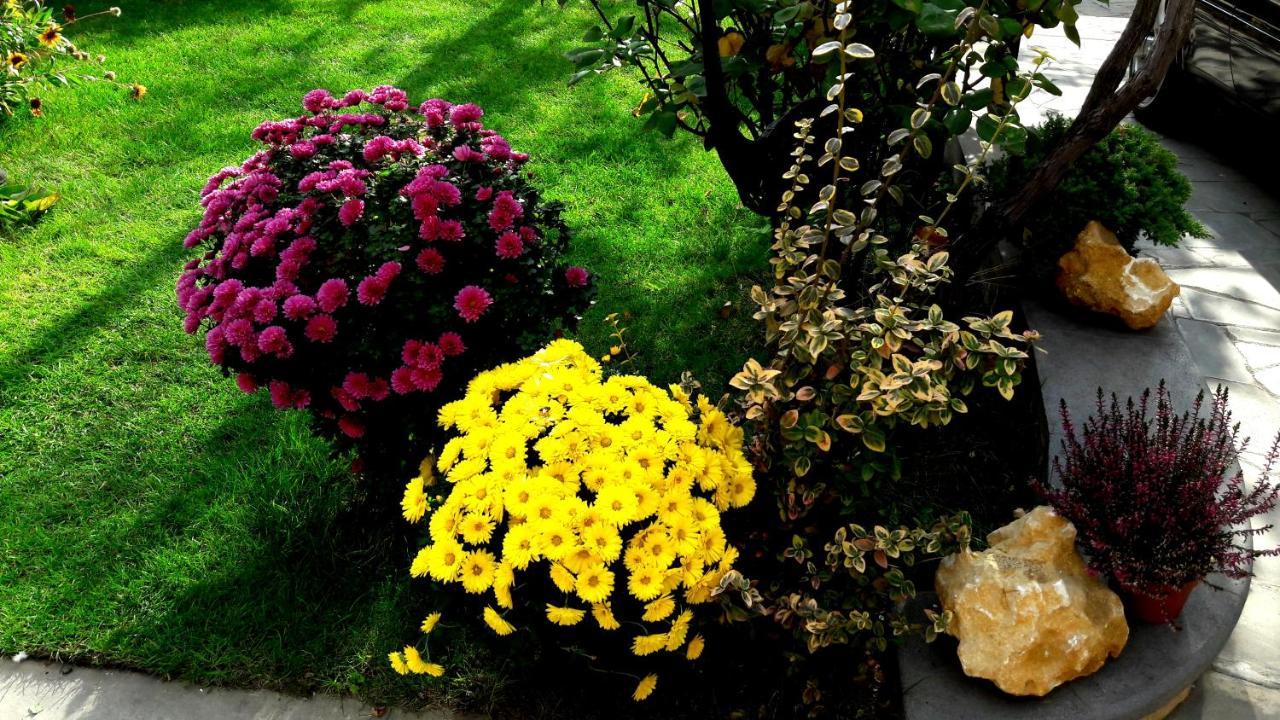 Green Garden Tiflis Exterior foto