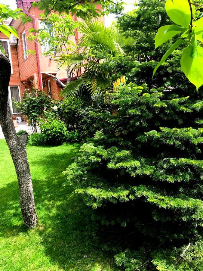 Green Garden Tiflis Exterior foto
