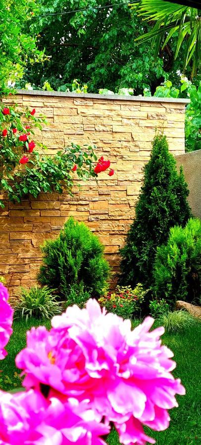 Green Garden Tiflis Exterior foto
